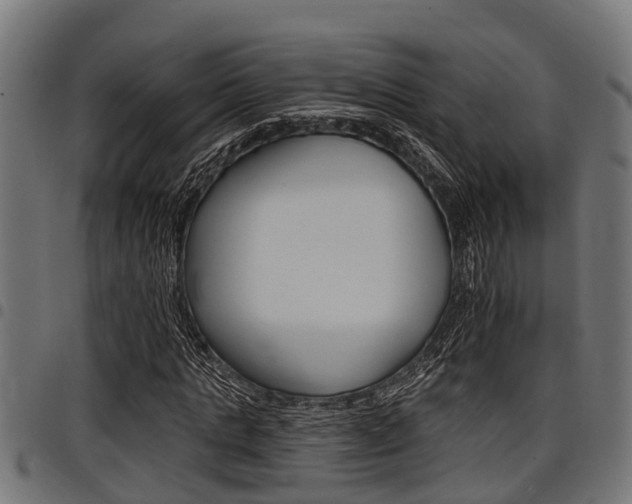 X0000098010821200803280728