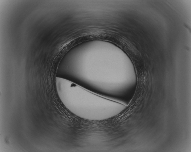 X0000098010822200803280728