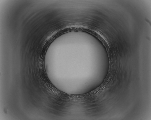 X0000098010823200803280728