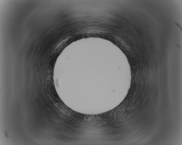 X0000098010824200803280728