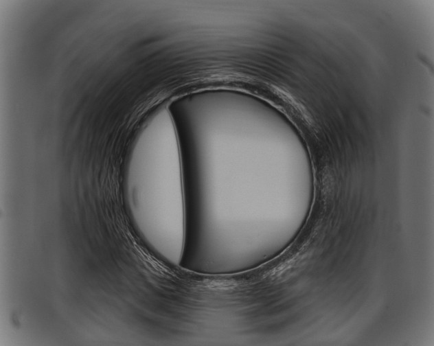 X0000098010825200803280728