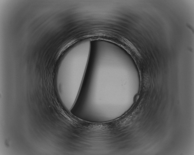 X0000098010826200803280729