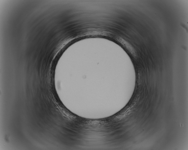 X0000098010828200803280729