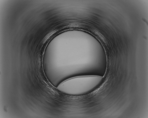 X0000098010829200803280729