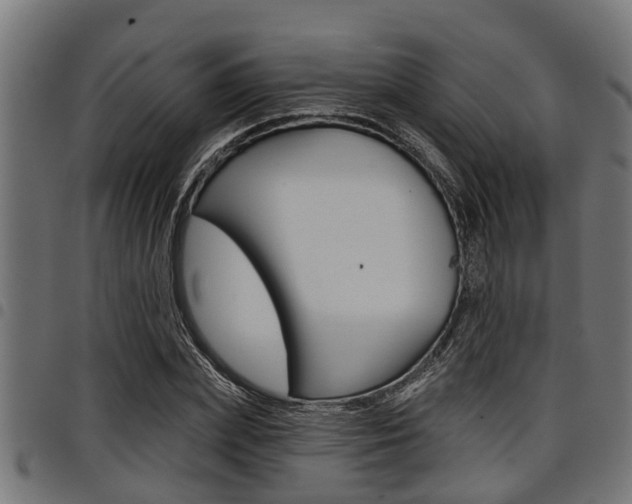 X0000098010831200803280729