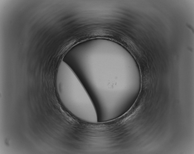 X0000098010833200803280729