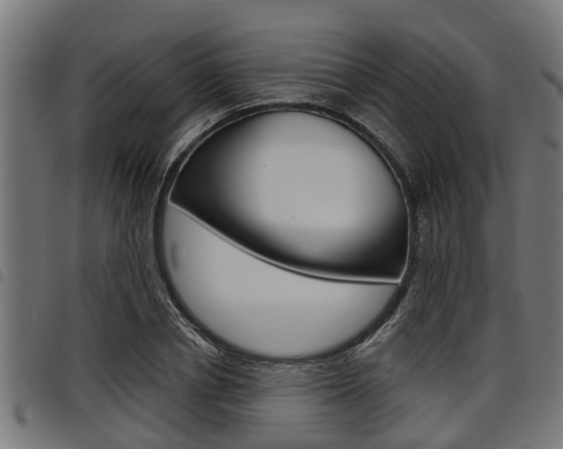 X0000098010834200803280729