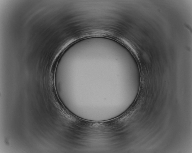 X0000098010835200803280729