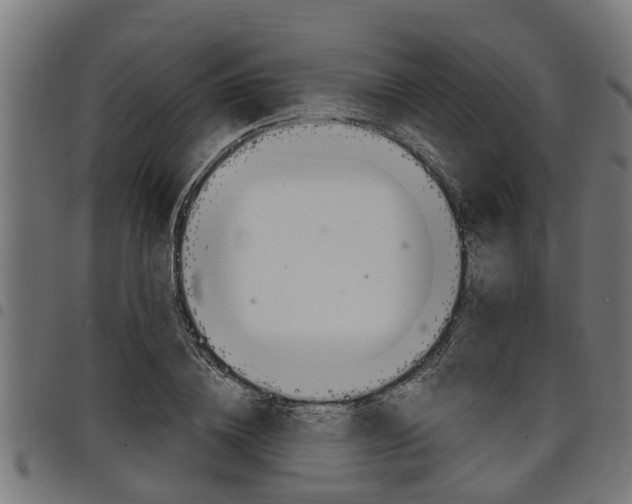 X0000098010836200803280729