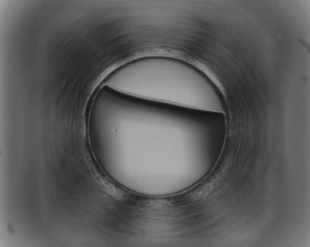 X0000098010837200803280729