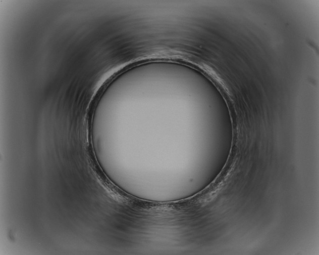 X0000098010838200803280729