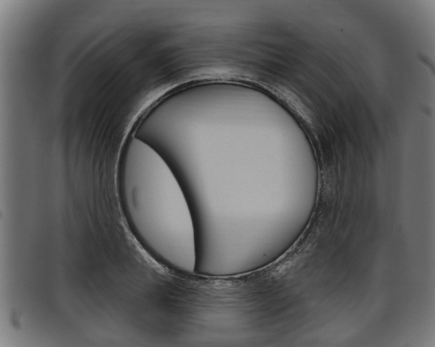 X0000098010839200803280729