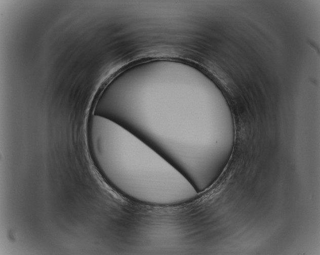 X0000098010840200803280729