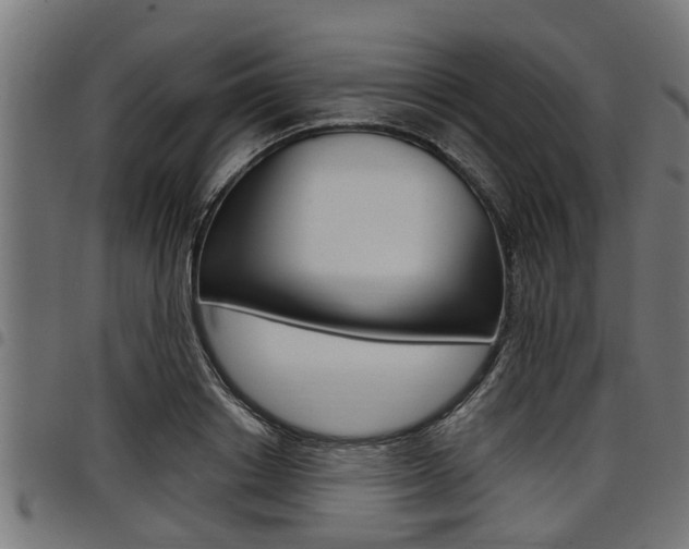X0000098010842200803280729