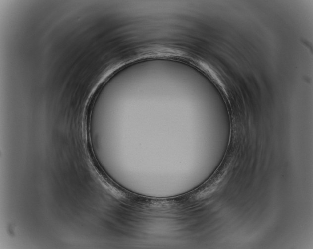 X0000098010843200803280729