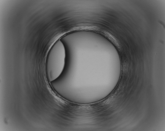 X0000098010844200803280729