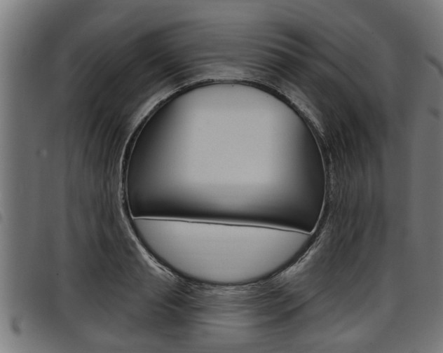 X0000098010845200803280729