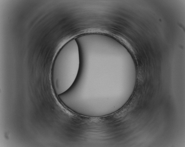 X0000098010847200803280729