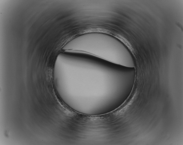 X0000098010849200803280729