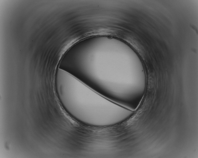 X0000098010850200803280729