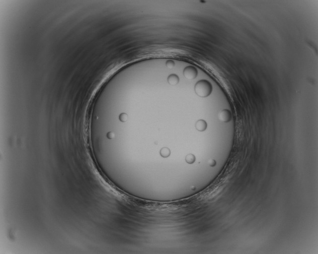 X0000098010851200803280729