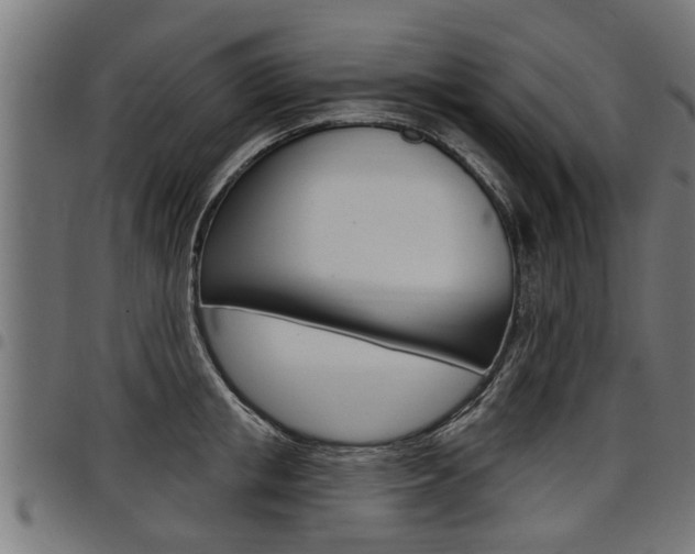 X0000098010853200803280729