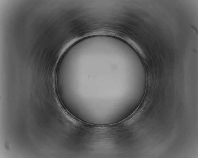 X0000098010854200803280729