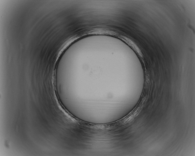 X0000098010855200803280729