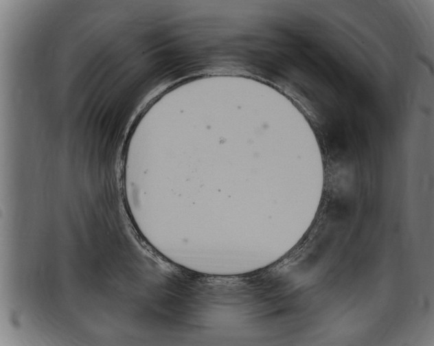 X0000098010856200803280729