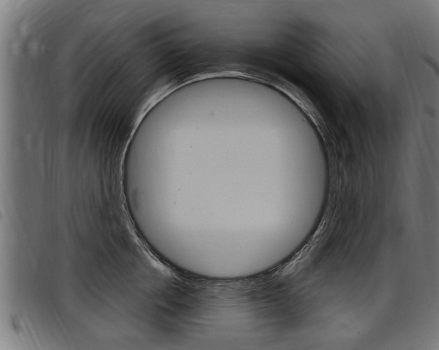 X0000098010858200803280729