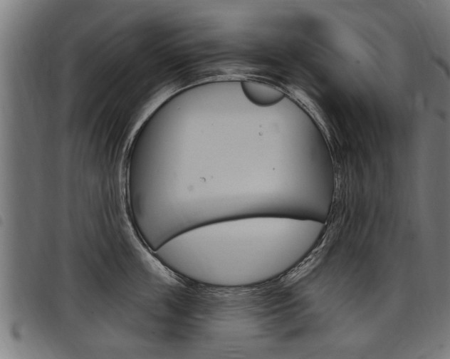 X0000098010859200803280729