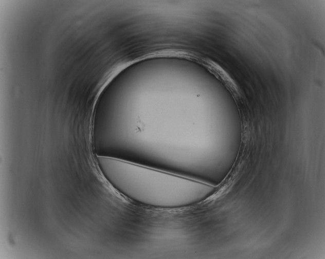 X0000098010860200803280729