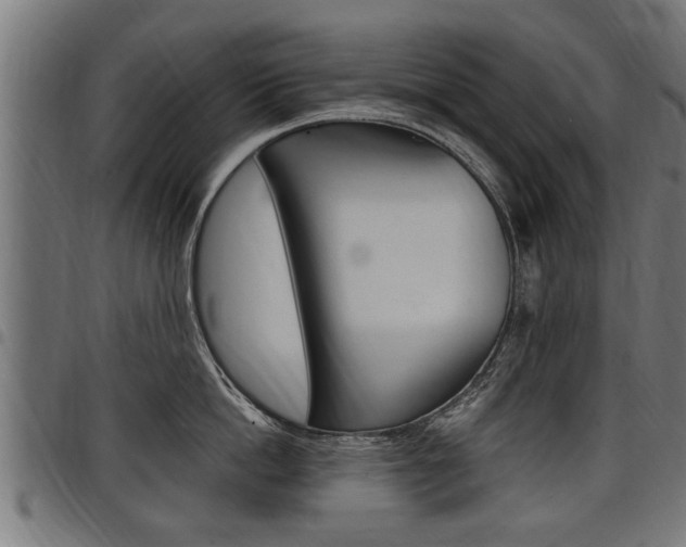 X0000098010862200803280729