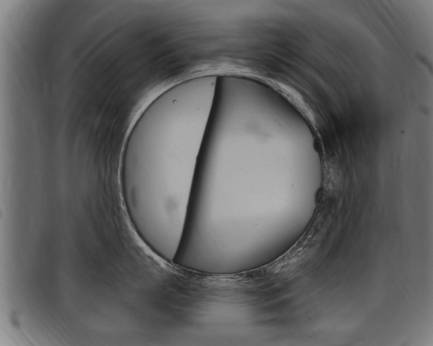 X0000098010863200803280729