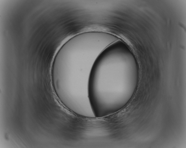 X0000098010864200803280729