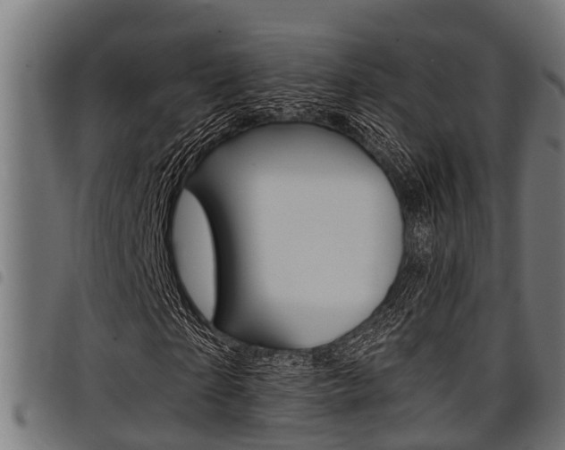 X0000098010865200803280728