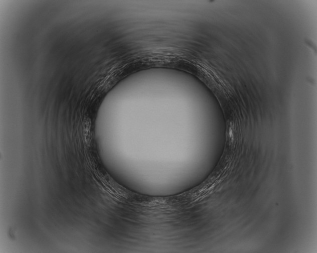 X0000098010867200803280728