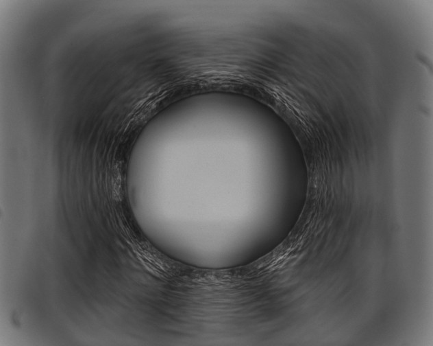 X0000098010868200803280728