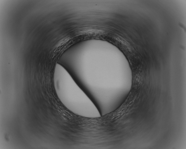 X0000098010869200803280728