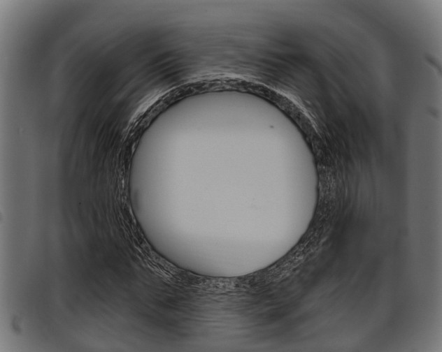 X0000098010871200803280728