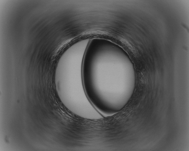 X0000098010872200803280728