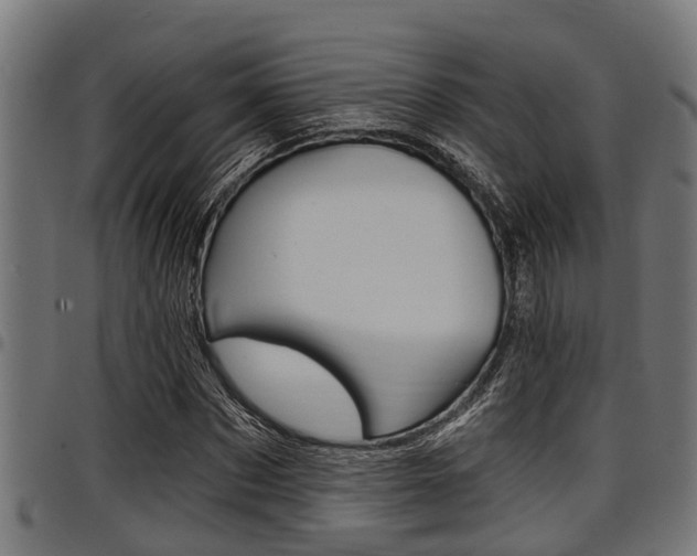 X0000098010873200803280728