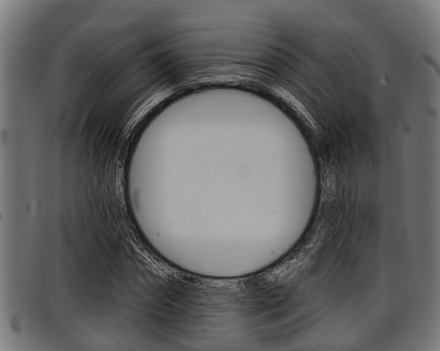 X0000098010874200803280728