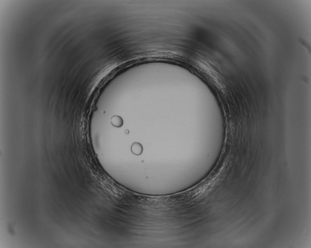 X0000098010875200803280728