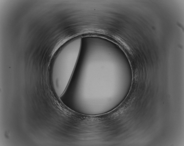 X0000098010877200803280728