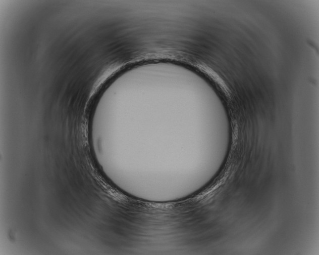 X0000098010878200803280728