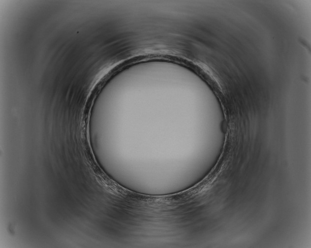 X0000098010879200803280728