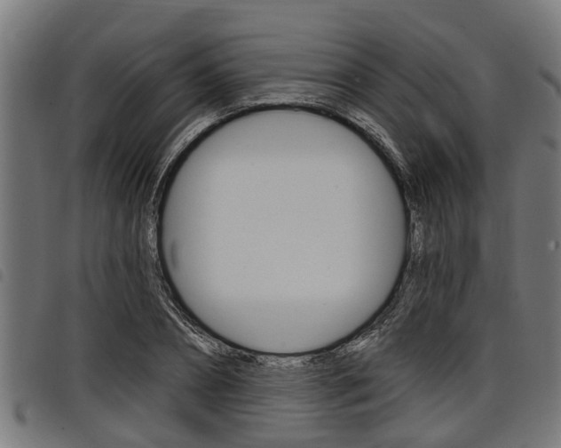 X0000098010882200803280728