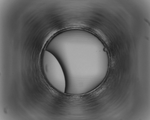 X0000098010883200803280728