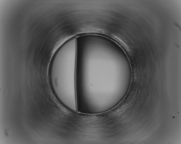 X0000098010885200803280728